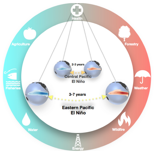 Graphic depicting two ENSO-affecting cycles as different length pendulums